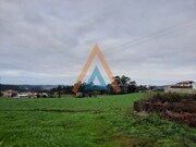 Terreno Rstico - Mosteir, Santa Maria da Feira, Aveiro - Miniatura: 1/9