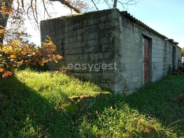 Terreno Rstico - Caria, Belmonte, Castelo Branco - Imagem grande