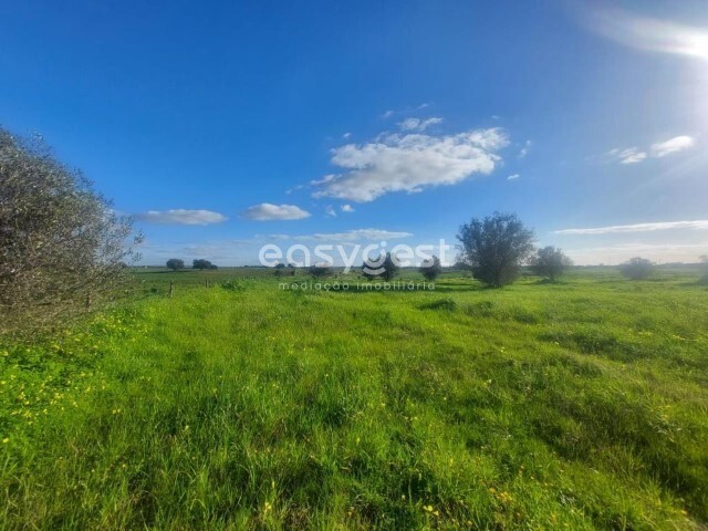 Terreno Rstico - Ferreira do Alentejo, Ferreira do Alentejo, Beja - Imagem grande