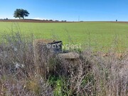 Terreno Rstico - Ferreira do Alentejo, Ferreira do Alentejo, Beja - Miniatura: 1/9