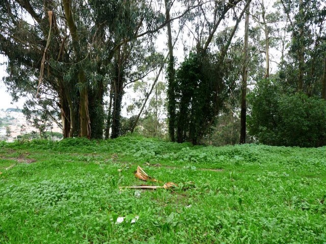 Terreno Urbano - Rio de Mouro, Sintra, Lisboa - Imagem grande