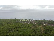 Terreno Rstico - Piedade, Lajes do Pico, Ilha do Pico - Miniatura: 5/9