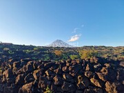 Terreno Rstico - Bandeiras, Madalena, Ilha do Pico - Miniatura: 2/9