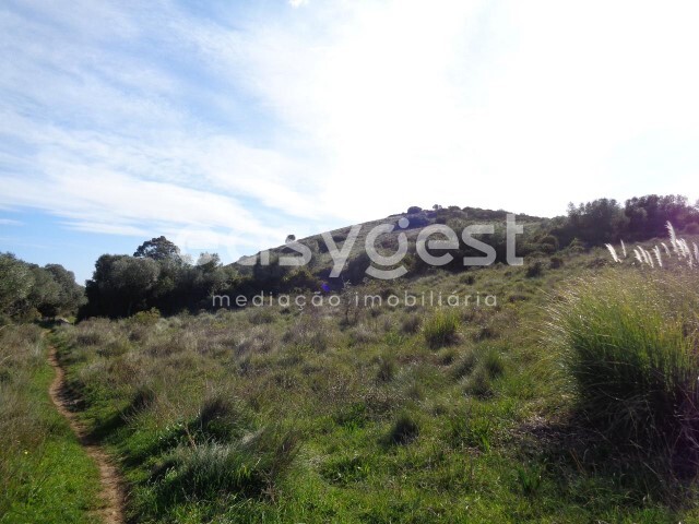 Terreno Rstico - Alcabideche, Cascais, Lisboa - Imagem grande