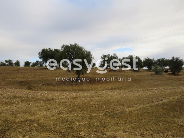 Terreno Rstico - Aljustrel, Aljustrel, Beja - Imagem grande