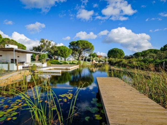 Quinta T5 - Santa Margarida da Serra, Grndola, Setbal - Imagem grande