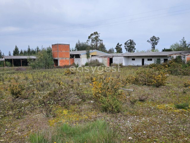 Armazm - Ervedal, Oliveira do Hospital, Coimbra - Imagem grande