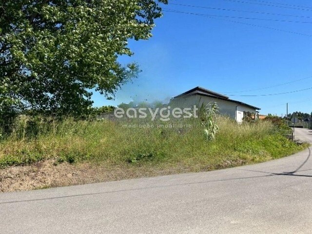 Terreno Rstico - Bustos, Oliveira do Bairro, Aveiro - Imagem grande