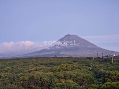 Terreno Rstico - Bandeiras, Madalena, Ilha do Pico