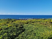 Terreno Rstico - Bandeiras, Madalena, Ilha do Pico - Miniatura: 4/9