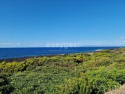 Terreno Rstico - Bandeiras, Madalena, Ilha do Pico - Miniatura: 6/9