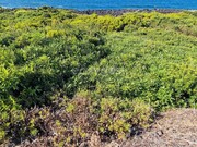 Terreno Rstico - Bandeiras, Madalena, Ilha do Pico - Miniatura: 7/9