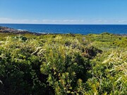 Terreno Rstico - Bandeiras, Madalena, Ilha do Pico - Miniatura: 8/9