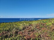 Terreno Rstico - Bandeiras, Madalena, Ilha do Pico - Miniatura: 9/9