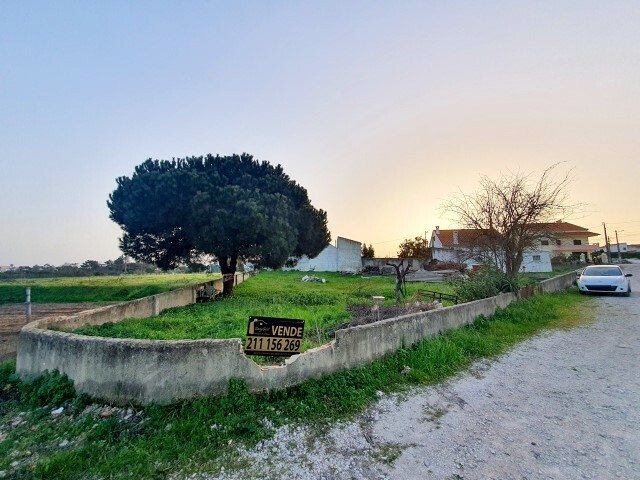 Terreno Rstico - Charneca da Caparica, Almada, Setbal - Imagem grande