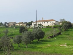 Terreno Rstico > T6 - So Lus, Odemira, Beja