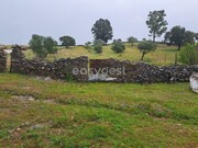 Terreno Rstico - Santana de Cambas, Mrtola, Beja - Miniatura: 3/7