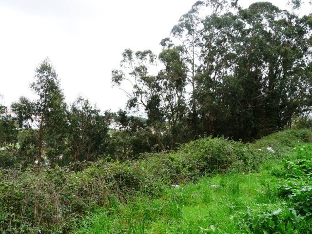 Terreno Urbano - Rio de Mouro, Sintra, Lisboa - Imagem grande