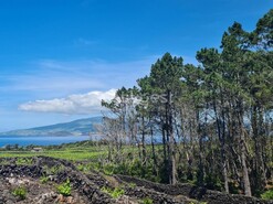 Terreno Rstico - Candelria, Madalena, Ilha do Pico