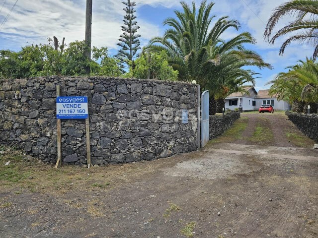 Moradia T3 - Fenais da Luz, Ponta Delgada, Ilha de S.Miguel - Imagem grande