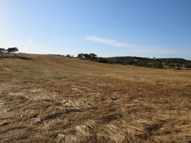 Terreno Rstico - Ourique, Ourique, Beja - Imagem grande