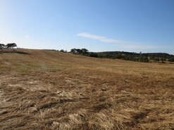 Terreno Rstico - Ourique, Ourique, Beja