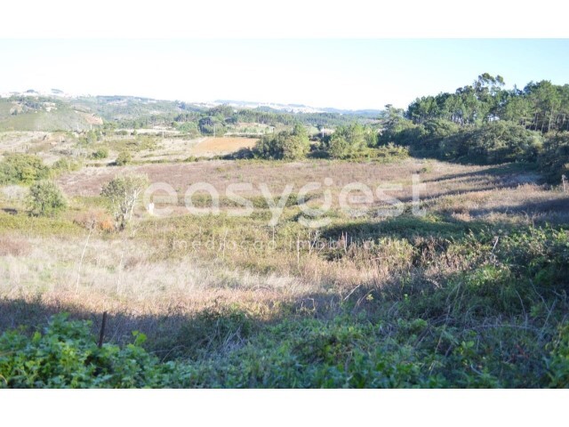 Terreno Rstico - Carvoeira, Mafra, Lisboa - Imagem grande