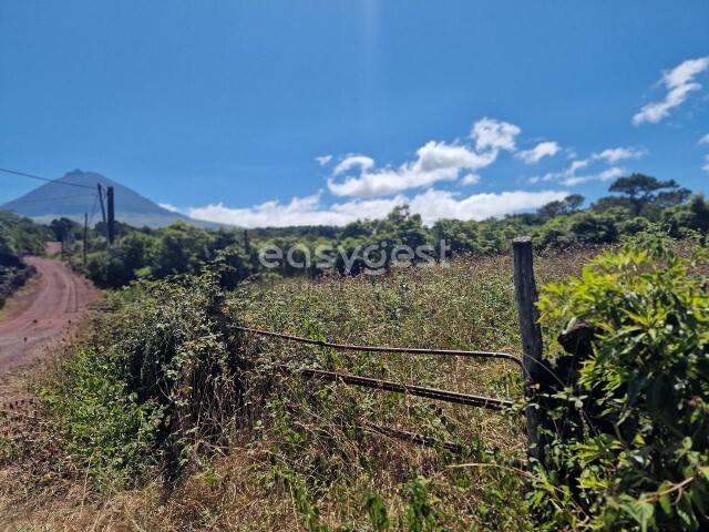 Terreno Rstico - Madalena, Madalena, Ilha do Pico - Imagem grande