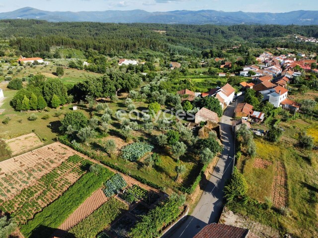 Moradia T3 - Lourosa, Oliveira do Hospital, Coimbra - Imagem grande