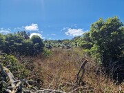 Terreno Rstico - Madalena, Madalena, Ilha do Pico - Miniatura: 3/9