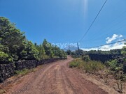 Terreno Rstico - Madalena, Madalena, Ilha do Pico - Miniatura: 5/9