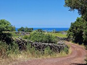 Terreno Rstico - Madalena, Madalena, Ilha do Pico - Miniatura: 6/9