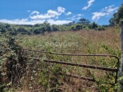 Terreno Rstico - Madalena, Madalena, Ilha do Pico - Miniatura: 7/9