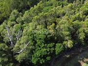 Terreno Rstico - Bandeiras, Madalena, Ilha do Pico - Miniatura: 4/4