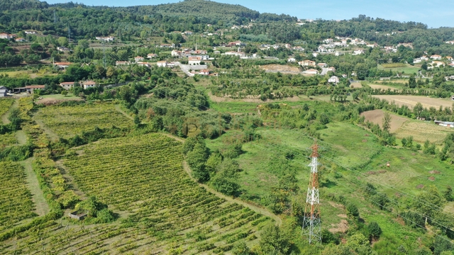 Quinta T0 - Infantas, Guimares, Braga - Imagem grande