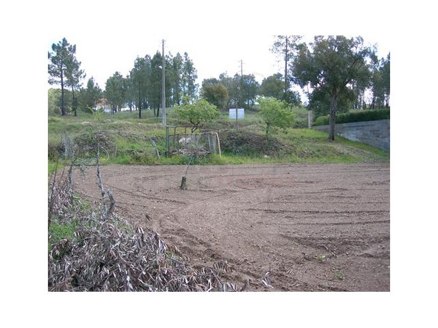 Terreno Rstico - Vrzea dos Cavaleiros, Sert, Castelo Branco - Imagem grande