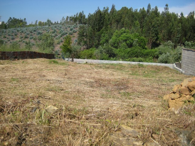 Terreno Rstico - Cabeudo, Sert, Castelo Branco - Imagem grande