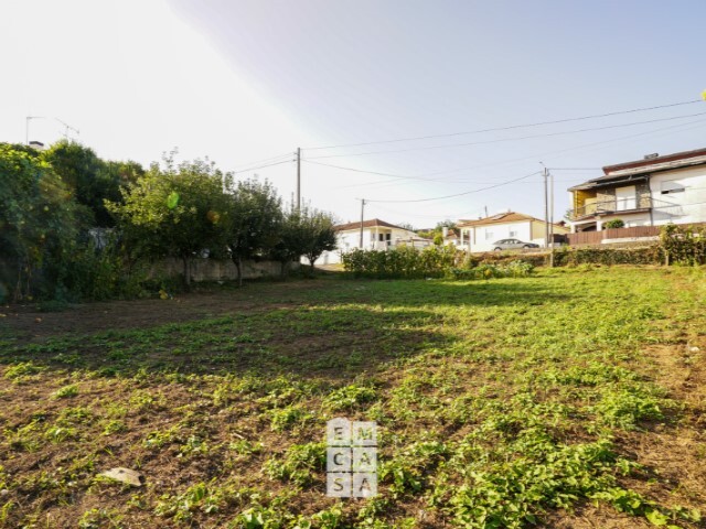 Terreno Rstico - Oliveira de Azemeis, Oliveira de Azemis, Aveiro - Imagem grande