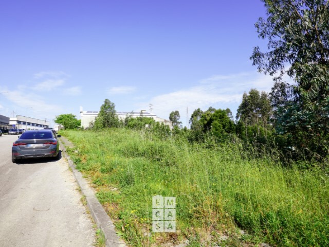 Terreno Rstico - Oliveira de Azemeis, Oliveira de Azemis, Aveiro - Imagem grande