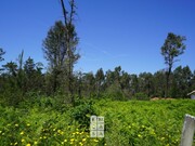 Terreno Rstico - So Martinho da Gndara, Oliveira de Azemis, Aveiro - Miniatura: 5/9