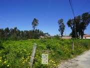 Terreno Rstico - So Martinho da Gndara, Oliveira de Azemis, Aveiro - Miniatura: 7/9