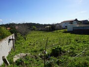 Terreno Rstico - Lobo, Santa Maria da Feira, Aveiro - Miniatura: 6/9