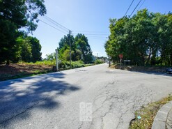 Terreno Rstico - Nogueira da Regedoura, Santa Maria da Feira, Aveiro