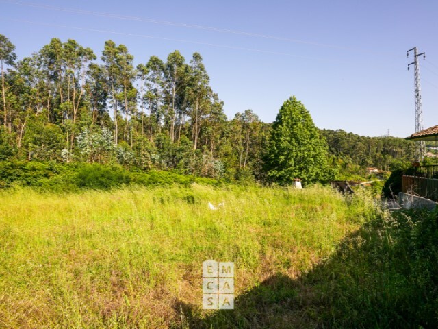 Terreno Rstico - Oliveira de Azemeis, Oliveira de Azemis, Aveiro - Imagem grande