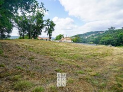 Terreno Rstico - Pinheiro da Bemposta, Oliveira de Azemis, Aveiro