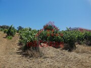 Terreno Urbano - Freiria, Torres Vedras, Lisboa - Miniatura: 4/9