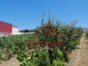 Terreno Urbano - Freiria, Torres Vedras, Lisboa - Miniatura: 6/9