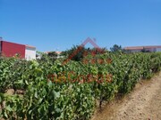 Terreno Urbano - Freiria, Torres Vedras, Lisboa - Miniatura: 7/9