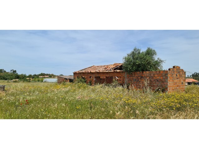 Quinta - Boavista dos Pinheiros, Odemira, Beja - Imagem grande