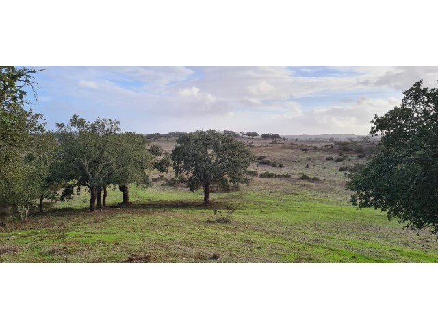 Terreno Rstico - Azinheira dos Barros, Grndola, Setbal - Imagem grande